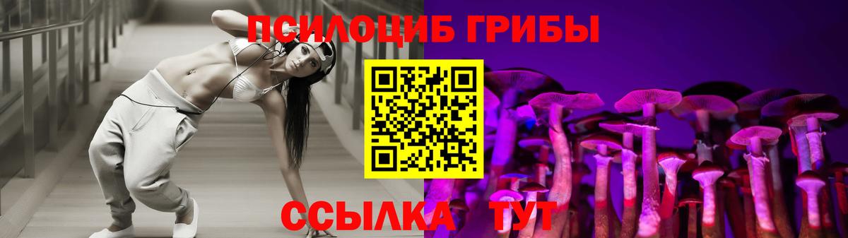 Нурлат  Псилоцибиновые грибы Psilocybine cubensis  Вход с VPN 
